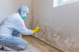 Best Mold Remediation for Rental Properties  in Ashtabula, OH