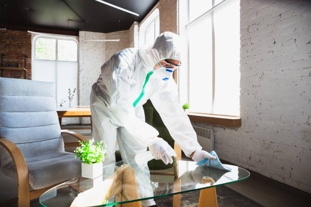 Best Mold Remediation for Healthcare Facilities  in Ashtabula, OH