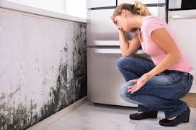 Mold Remediation for Rental Properties in Ashtabula, OH